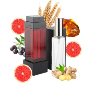 По мотивам знаменитого бренда Burberry sport for men